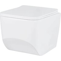 Roxen Boro в комплекте с инсталляцией StounFix Dual Fresh 6 в 1 868602 (кнопка: оружейная сталь матовая) Image #4