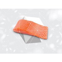 Nature's Protection Vet Diet Dermatosis Salmon NPSCVET47580 1.5 кг Image #6