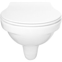 Керамин Санти R Slim + S-IN-MZ-VECTOR + P-BU-MOV/Blg/Gl Image #6