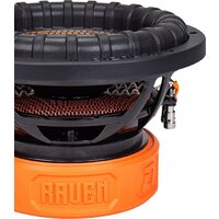 DL Audio Raven 10 V.2 Image #4