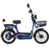 Smart Balance Fiesta Pro 2025