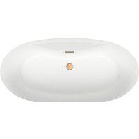 Wellsee L’aster 175x85 236301004 (отдельностоящая ванна белый глянец, экран, ножки, сифон-автомат золото) Image #4