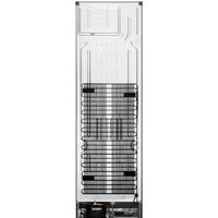 LG DoorCooling+ GA-B509MMZL Image #15