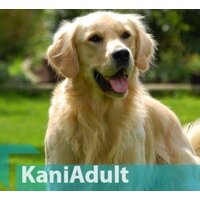 Quicker Kani Chicken Adult 20 кг Image #2