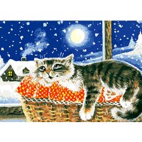 Белоснежка В тепле 527-AS