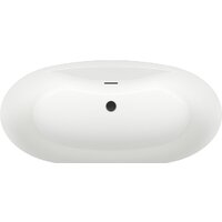 Wellsee L’aster 175x85 236301003 (отдельностоящая ванна белый глянец, экран, ножки, сифон-автомат матовый черный) Image #4
