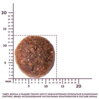 Award Adult Medium с индейкой и курицей с добавлением моркови и смородины 2 кг Image #8
