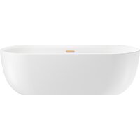 Wellsee Chic Riviera 170x76 236802004 (отдельностоящая ванна белый глянец, экран, ножки, сифон-автомат золото) Image #1