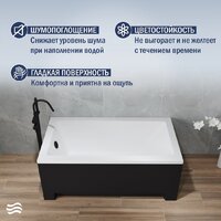 Lauter Estelle 120х70 21206020 (ножками и лицевым черным экраном) Image #4