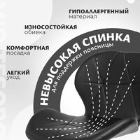 Mio Tesoro Грация BS-035 (черный/хром) Image #2