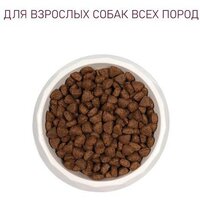 Award Adult All Breed с ягненком с индейкой с добавлением яблока и черники 2 кг Image #6