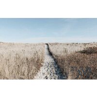 Stamprint Дорога к морю 1 SD009 (70x100)