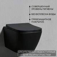 Унитаз подвесной Lauter Magdeburg 21103EC + AM.PM I012703.0251 (черный матовый) - Превью изображения №4 — Интернет-Магазин TECNO.BY