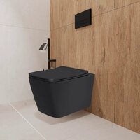 Унитаз подвесной Lauter Magdeburg 21103EC + AM.PM I012703.0251 (черный матовый) - Превью изображения №11 — Интернет-Магазин TECNO.BY