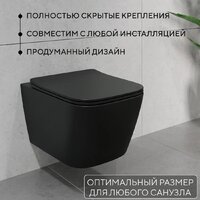 Унитаз подвесной Lauter Magdeburg 21103EC + AM.PM I012703.0251 (черный матовый) - Превью изображения №5 — Интернет-Магазин TECNO.BY