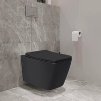 Унитаз подвесной Lauter Magdeburg 21103EC + AM.PM I012703.0251 (черный матовый) - Превью изображения №9 — Интернет-Магазин TECNO.BY