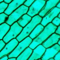 Микмед WiFi 2000Х 5.0 28972 Image #12