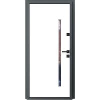 Guard Inox Black 2 96x205 (правая, Ral 7016/экосатин белый) Image #3