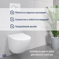 Lauter Sulzdorf + GROHE Rapid SL 39504000 (белый с микролифтом) Image #6