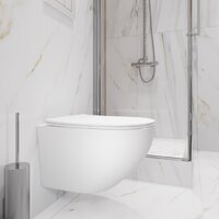 Lauter Sulzdorf + GROHE Rapid SL 39504000 (белый с микролифтом) Image #12
