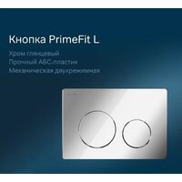 Унитаз подвесной Lauter Magdeburg 21103EC + AM.PM PrimeFit I012709.0151 (черный матовый хром глянцевый, с кнопкой смыва) - Превью изображения №10 — Интернет-Магазин TECNO.BY