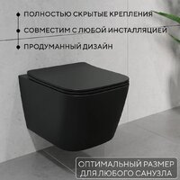 Унитаз подвесной Lauter Magdeburg 21103EC + AM.PM PrimeFit I012709.0151 (черный матовый хром глянцевый, с кнопкой смыва) - Превью изображения №5 — Интернет-Магазин TECNO.BY