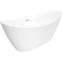 Wellsee Carefree Dove 168x73 23290104R (отдельностоящая ванна белый глянец, экран, ножки, сифон-автомат золото) Image #2