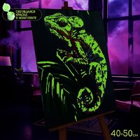 Молли Хамелеон 40x50 FHR0578 Image #4