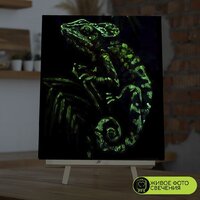 Молли Хамелеон 40x50 FHR0578 Image #6