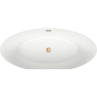 Wellsee Cerulean 174x80 231001004 (отдельностоящая ванна белый глянец, экран, ножки, сифон-автомат золото) Image #4