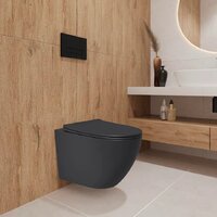 Унитаз подвесной Lauter Augsburg 21109EC + 39504000 (черный матовый с кнопкой смыва) - Превью изображения №11 — Интернет-Магазин TECNO.BY