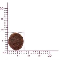 Award Puppy Small для щенков мелких и миниатюрных пород с ягненком, индейкой с добавлением брокколи и брусники 10 кг Image #7