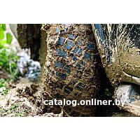 BFGoodrich Mud-Terrain T/A KM3 31/10.5R15 109Q Image #5