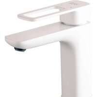 IDDIS Slide SLIWT00i01