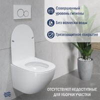 Lauter Sulzdorf + GROHE Rapid SL 38721001 (белый с микролифтом) Image #5