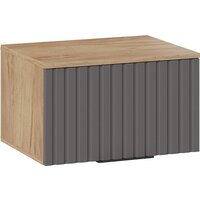 Трия Хилтон Исп.2.1 (дуб крафт золотой/графит матовый)