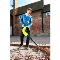 Ryobi RBV3000CESV Image #3