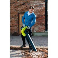 Ryobi RBV3000CESV Image #5