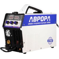 Аврора Динамика 185 Синергетик