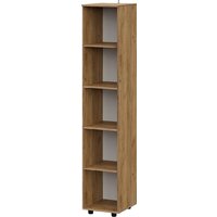 Mio Tesoro Байкал однодверный (дуб золотистый/графит) Image #3