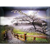 Декарт 8Л0461